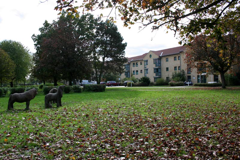 Killikus® Fotographie Killikus® Fotographie